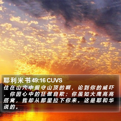 耶 利 米 书 49:16 CUVS Bible Verse Image