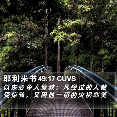 耶 利 米 书 49:17 CUVS Bible Verse Image
