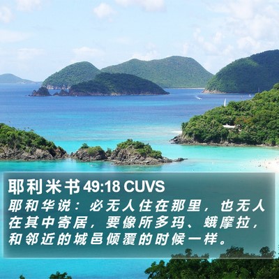 耶 利 米 书 49:18 CUVS Bible Verse Image