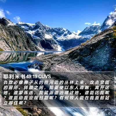 耶 利 米 书 49:19 CUVS Bible Verse Image