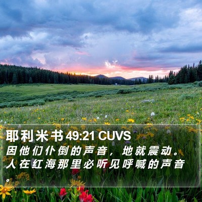 耶 利 米 书 49:21 CUVS Bible Verse Image