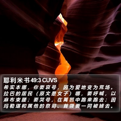 耶 利 米 书 49:3 CUVS Bible Verse Image