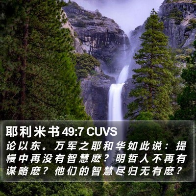 耶 利 米 书 49:7 CUVS Bible Verse Image