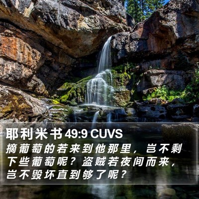 耶 利 米 书 49:9 CUVS Bible Verse Image