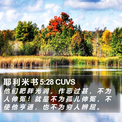 耶 利 米 书 5:28 CUVS Bible Verse Image