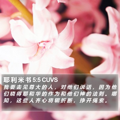 耶 利 米 书 5:5 CUVS Bible Verse Image