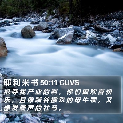 耶 利 米 书 50:11 CUVS Bible Verse Image