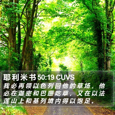 耶 利 米 书 50:19 CUVS Bible Verse Image