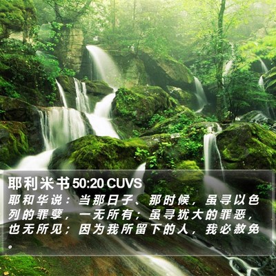 耶 利 米 书 50:20 CUVS Bible Verse Image