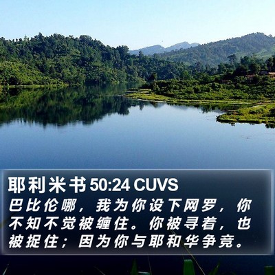 耶 利 米 书 50:24 CUVS Bible Verse Image