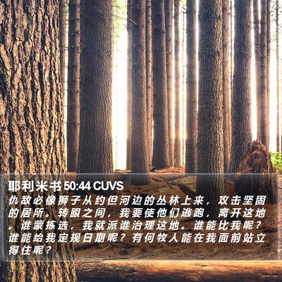 耶 利 米 书 50:44 CUVS Bible Verse Image