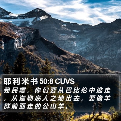 耶 利 米 书 50:8 CUVS Bible Verse Image