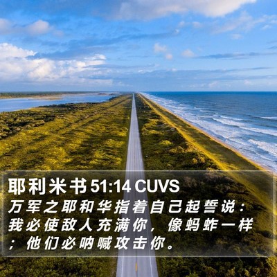 耶 利 米 书 51:14 CUVS Bible Verse Image