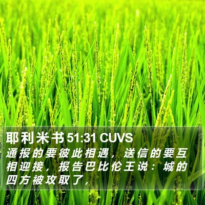 耶 利 米 书 51:31 CUVS Bible Verse Image