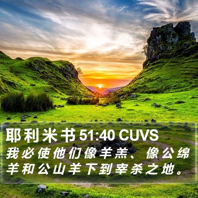 耶 利 米 书 51:40 CUVS Bible Verse Image