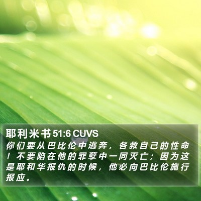 耶 利 米 书 51:6 CUVS Bible Verse Image