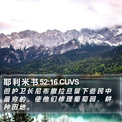 耶 利 米 书 52:16 CUVS Bible Verse Image