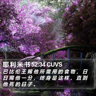 耶 利 米 书 52:34 CUVS Bible Verse Image
