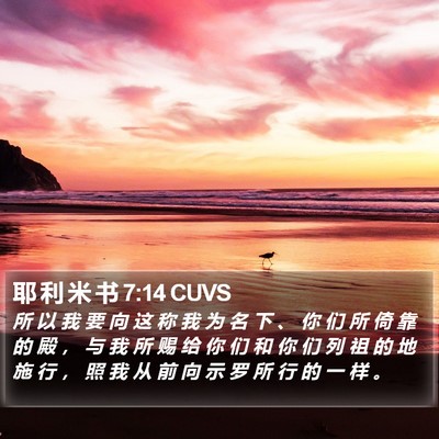 耶 利 米 书 7:14 CUVS Bible Verse Image