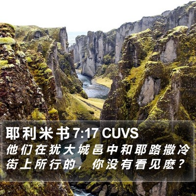 耶 利 米 书 7:17 CUVS Bible Verse Image