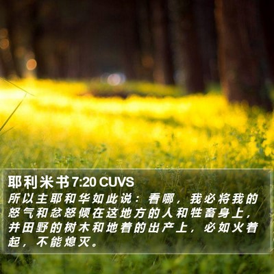 耶 利 米 书 7:20 CUVS Bible Verse Image