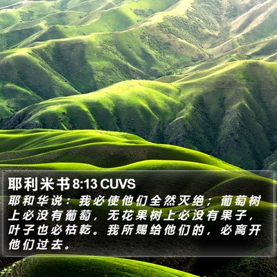 耶 利 米 书 8:13 CUVS Bible Verse Image