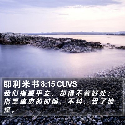 耶 利 米 书 8:15 CUVS Bible Verse Image