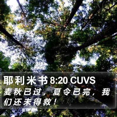 耶 利 米 书 8:20 CUVS Bible Verse Image