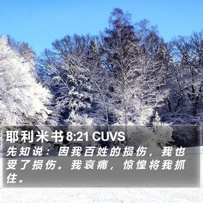 耶 利 米 书 8:21 CUVS Bible Verse Image