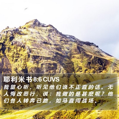 耶 利 米 书 8:6 CUVS Bible Verse Image