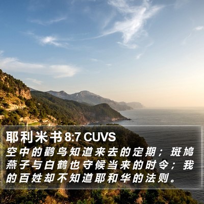 耶 利 米 书 8:7 CUVS Bible Verse Image