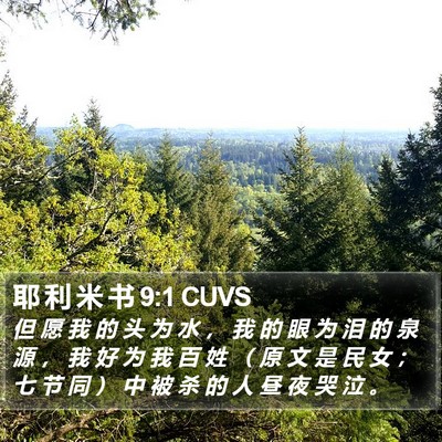 耶 利 米 书 9:1 CUVS Bible Verse Image