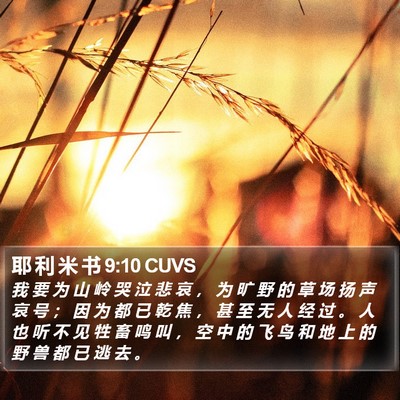 耶 利 米 书 9:10 CUVS Bible Verse Image