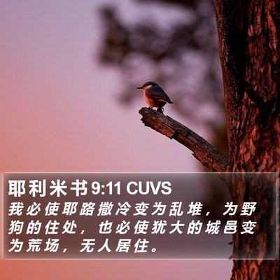 耶 利 米 书 9:11 CUVS Bible Verse Image