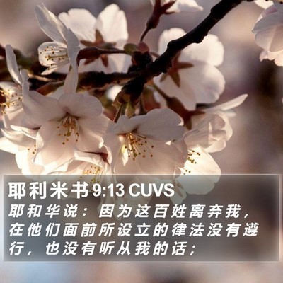 耶 利 米 书 9:13 CUVS Bible Verse Image