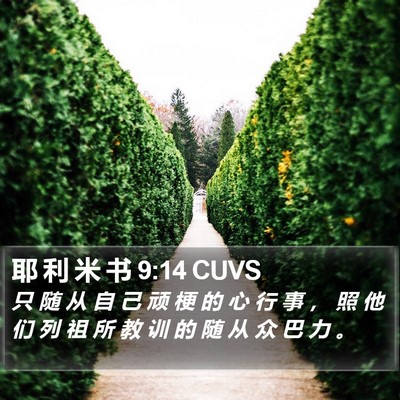 耶 利 米 书 9:14 CUVS Bible Verse Image
