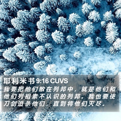 耶 利 米 书 9:16 CUVS Bible Verse Image