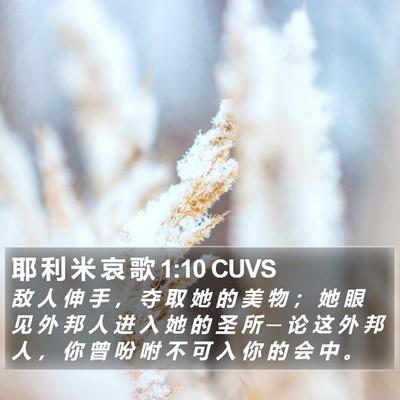 耶 利 米 哀 歌 1:10 CUVS Bible Verse Image