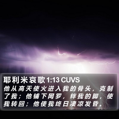 耶 利 米 哀 歌 1:13 CUVS Bible Verse Image