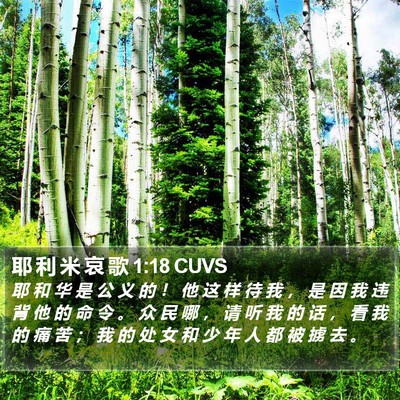 耶 利 米 哀 歌 1:18 CUVS Bible Verse Image
