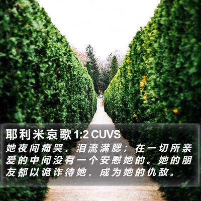 耶 利 米 哀 歌 1:2 CUVS Bible Verse Image