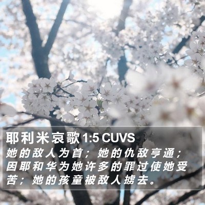 耶 利 米 哀 歌 1:5 CUVS Bible Verse Image