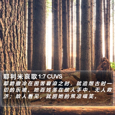 耶 利 米 哀 歌 1:7 CUVS Bible Verse Image