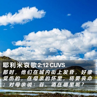 耶 利 米 哀 歌 2:12 CUVS Bible Verse Image