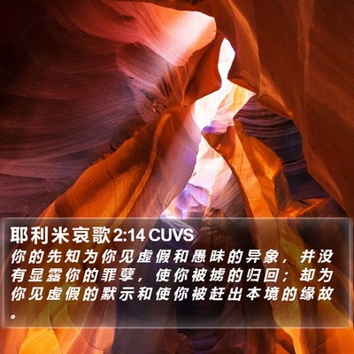 耶 利 米 哀 歌 2:14 CUVS Bible Verse Image