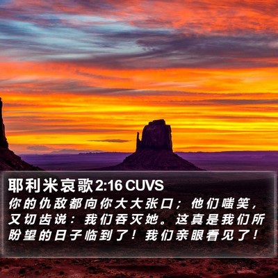 耶 利 米 哀 歌 2:16 CUVS Bible Verse Image