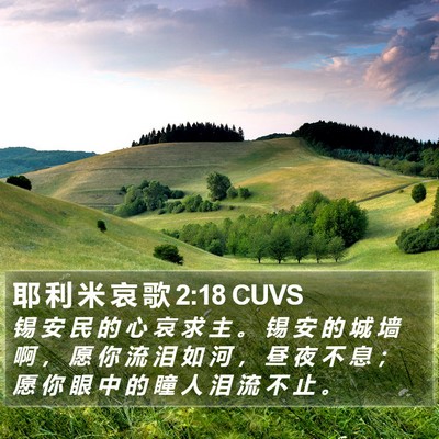 耶 利 米 哀 歌 2:18 CUVS Bible Verse Image