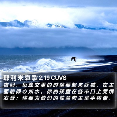 耶 利 米 哀 歌 2:19 CUVS Bible Verse Image