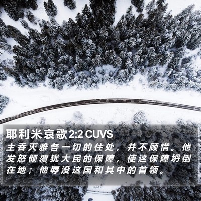 耶 利 米 哀 歌 2:2 CUVS Bible Verse Image