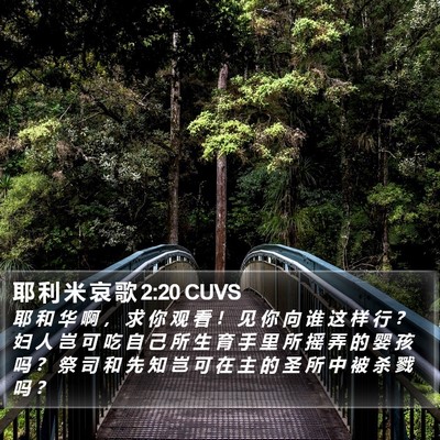 耶 利 米 哀 歌 2:20 CUVS Bible Verse Image